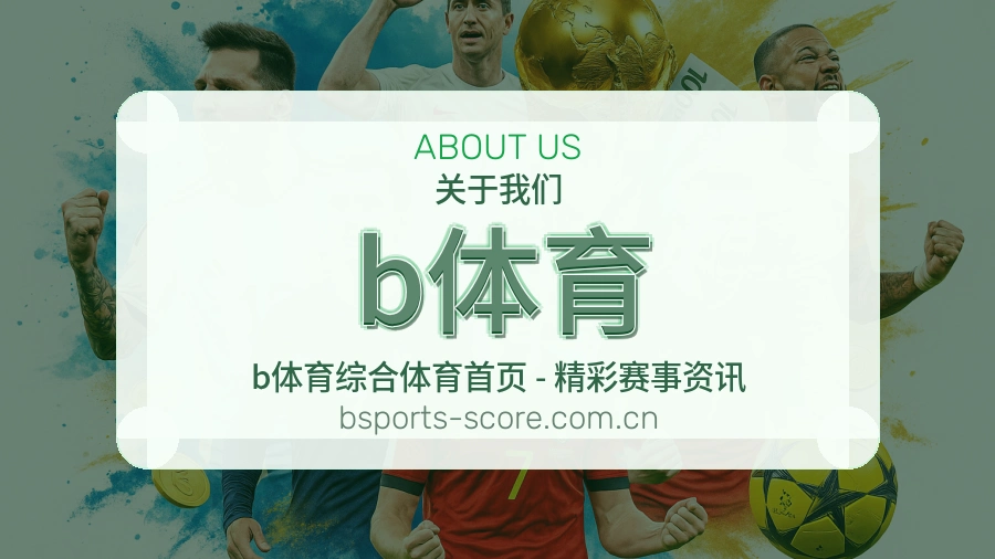 b体育平台简介